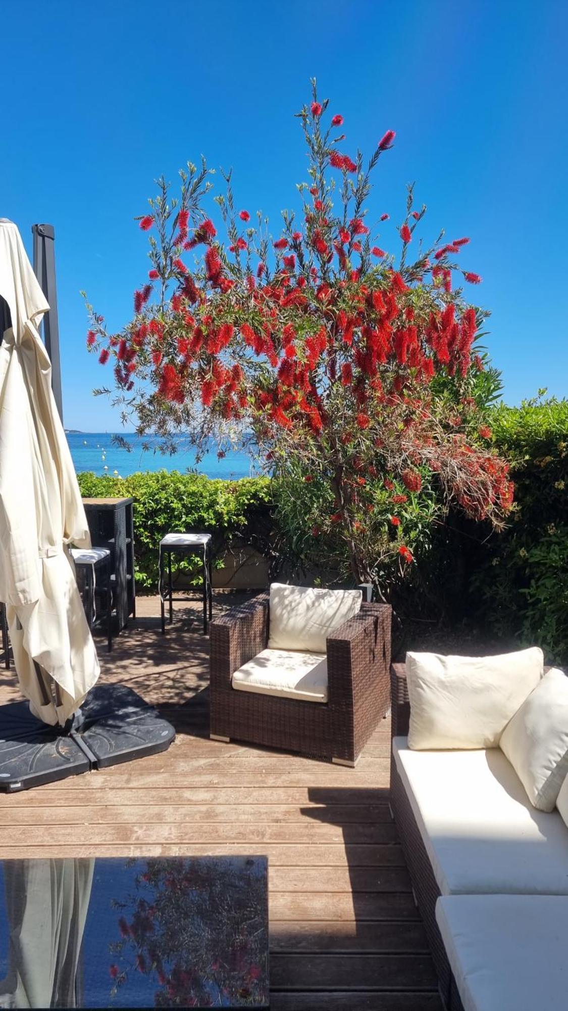 Unique Appartement-villa, Palm - Croisette - Front De * Cannes