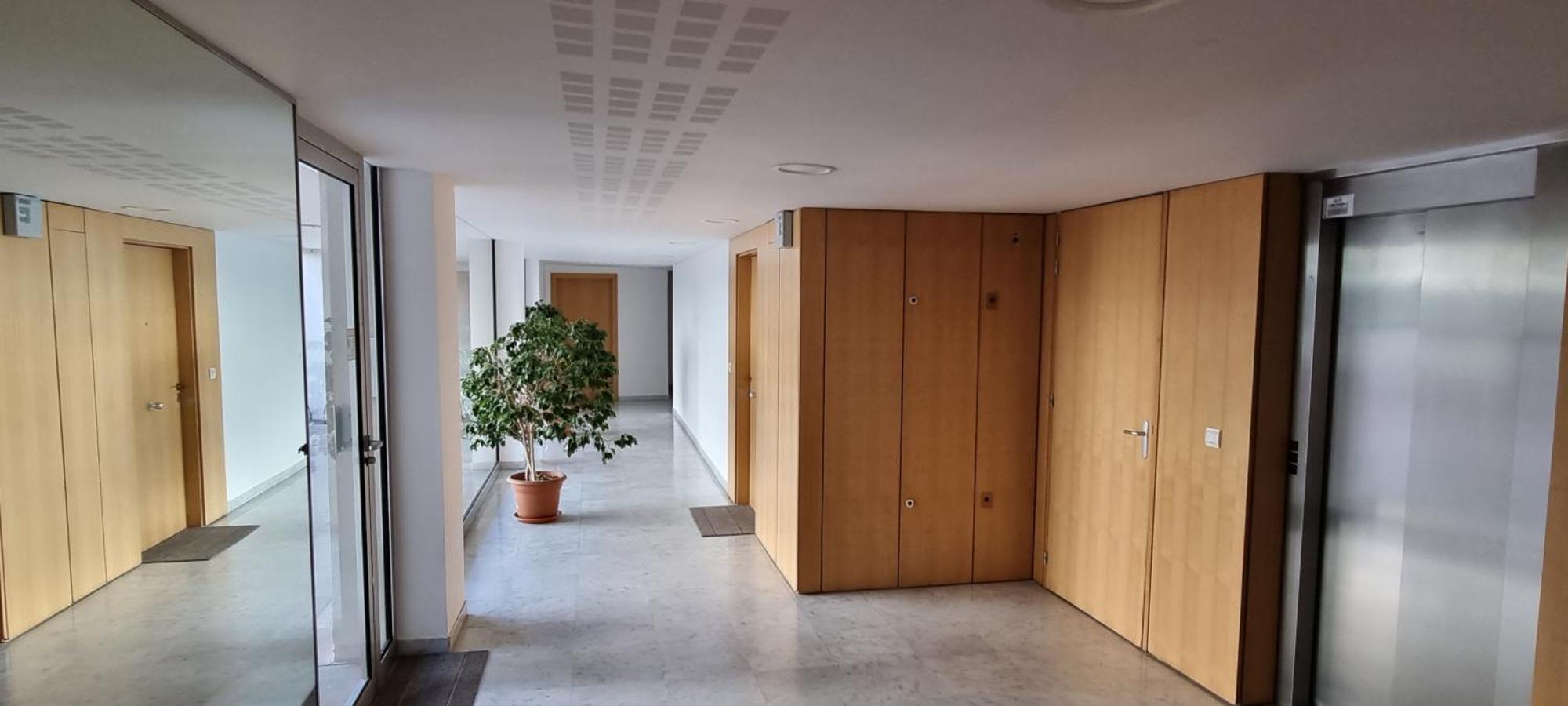 Unique Appartement-villa, Palm - Croisette - Front De Apartamento *